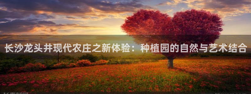 天辰娱乐所