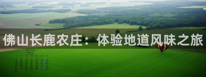 天辰天辰娱乐