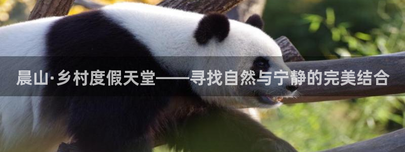 天辰娱乐游戏平台怎么样