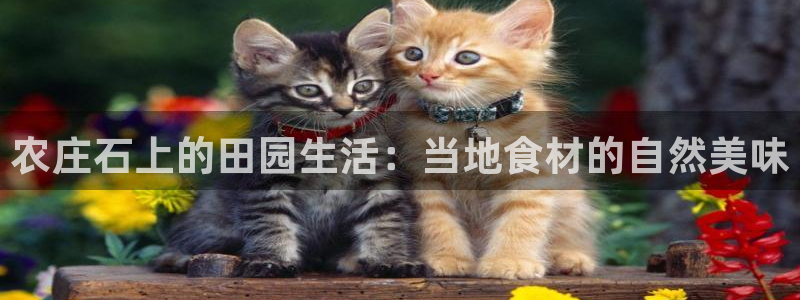 天辰娱乐分红