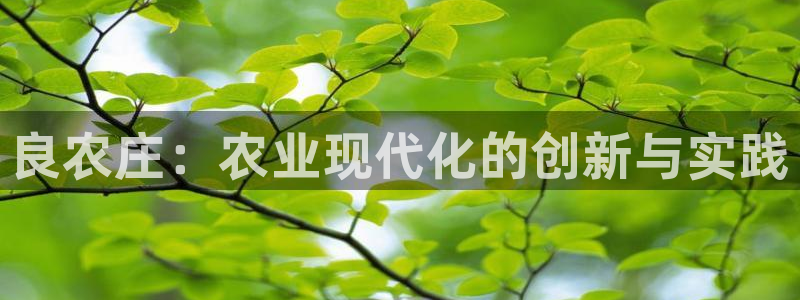 天辰娱乐 qq